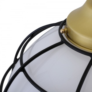 Hudson Glass Globe Cage Pendant Light 30cm